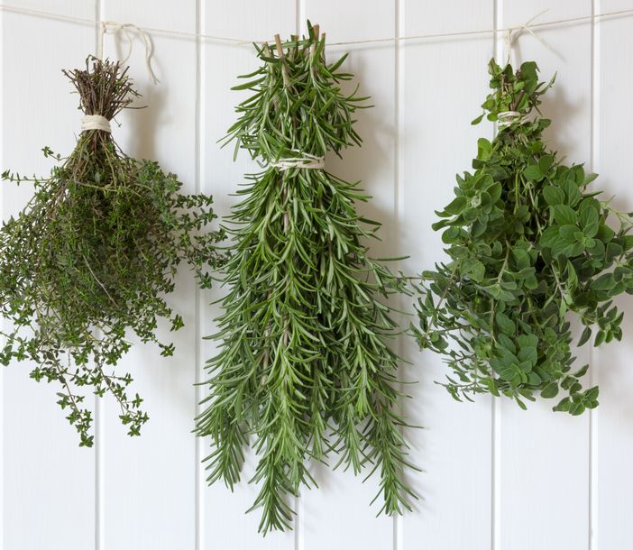 Kräuterbündel von Thymian, Rosmarin und Oregano