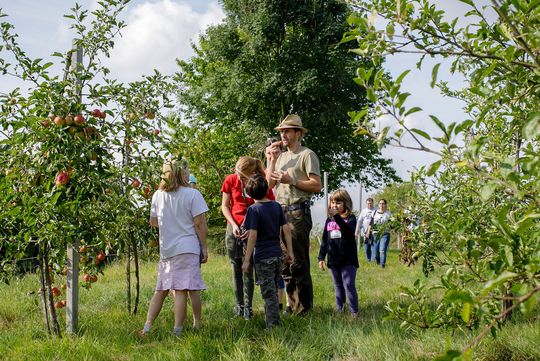 Bio-Landwirt zeigt einer Kindergruppe auf einer Wiese Äpfel und Apfelbäume im Rahmen einer Bauernhoffahrt. 
