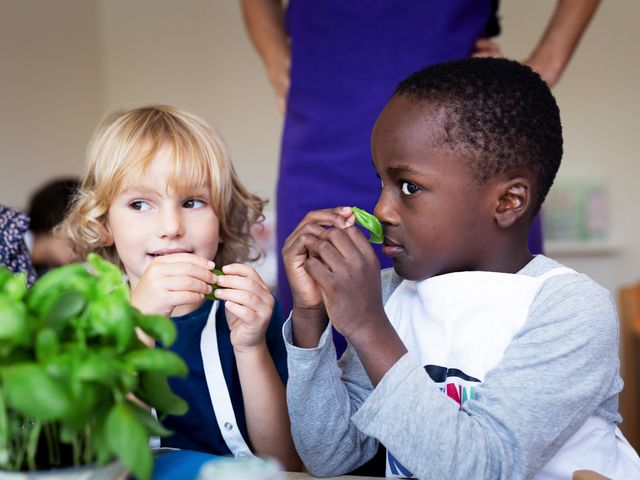 Kinder riechen an Kräutern