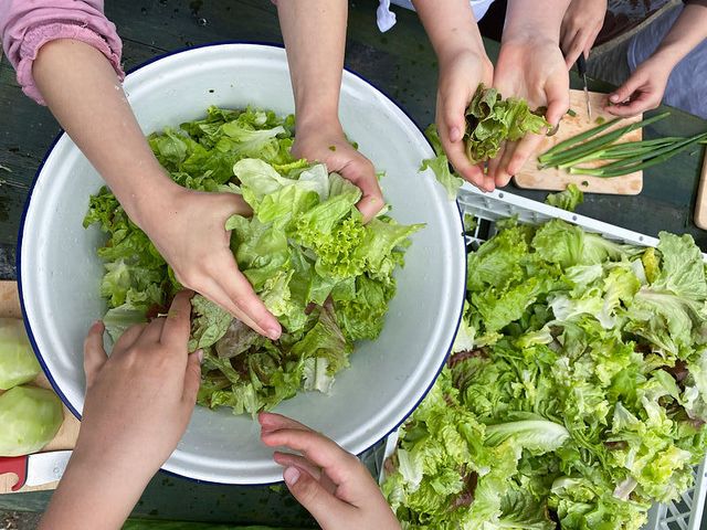 Kinder richten Salat in einer Schüssel an