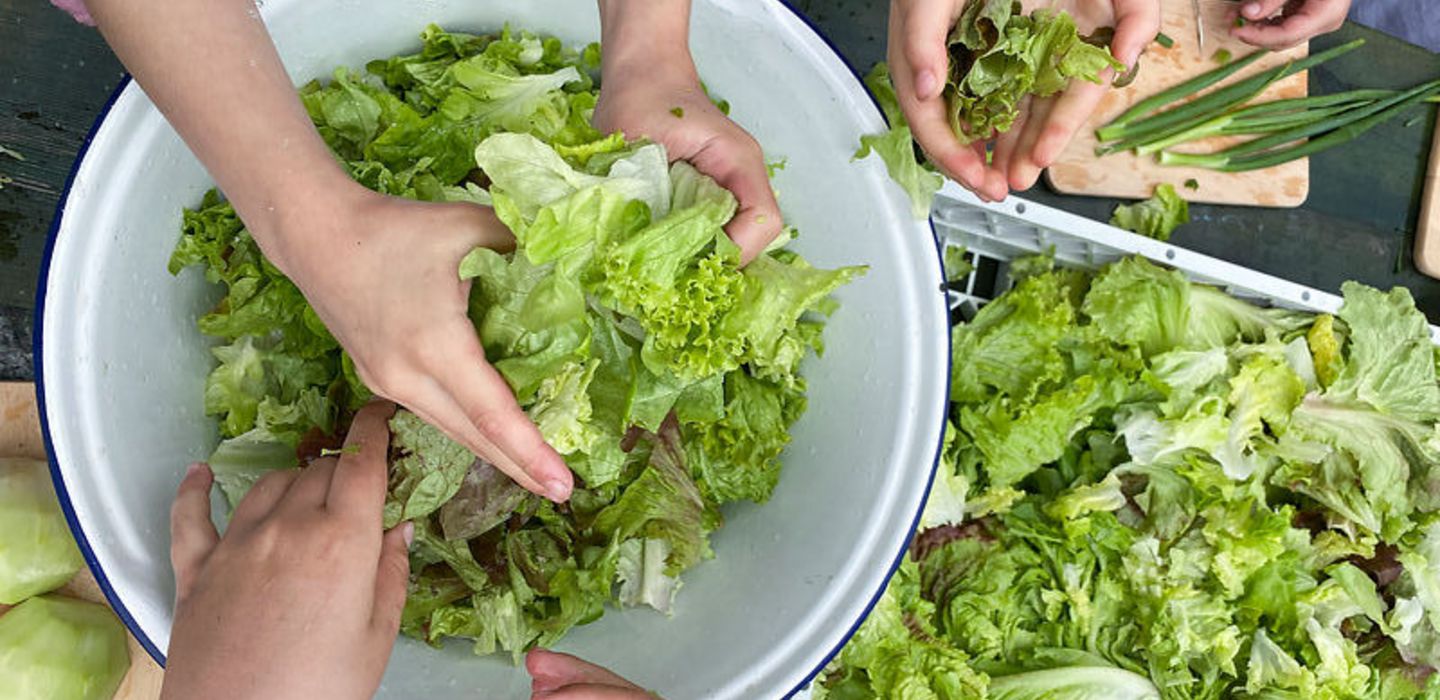 Kinder richten Salat in einer Schüssel an