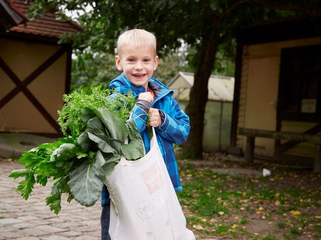 Junge mit Einkaufstüte voller grünem Gemüse