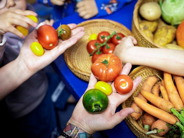 Eine Auswahl bunter Tomaten