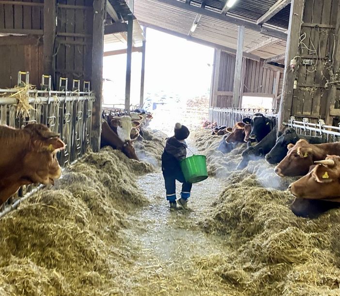 Ein Kind läuft durch einen Kuhstall