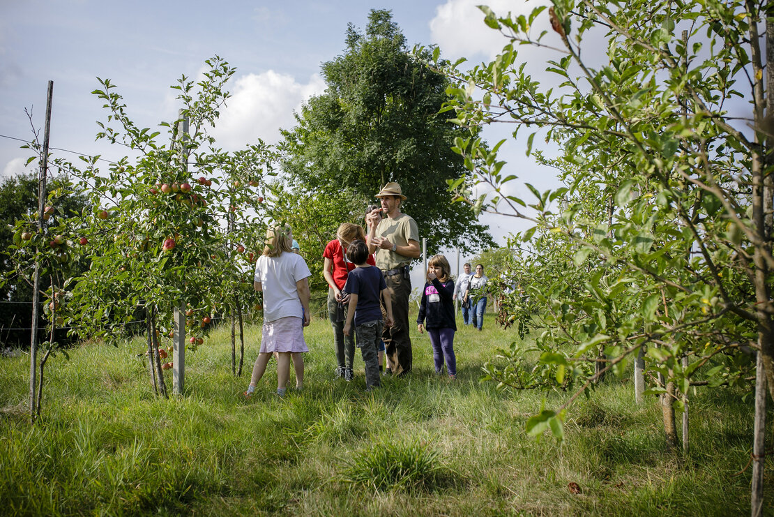 Düsseldorfer Kinder lernen mit Öko-Landwirt Roland Rapp verschiedene Apfelsorten kennen 