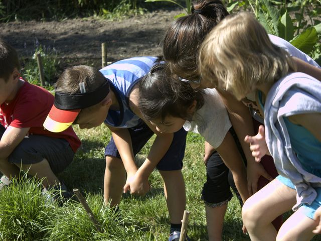 Kinder gucken vorgebeugt auf ein Beet
