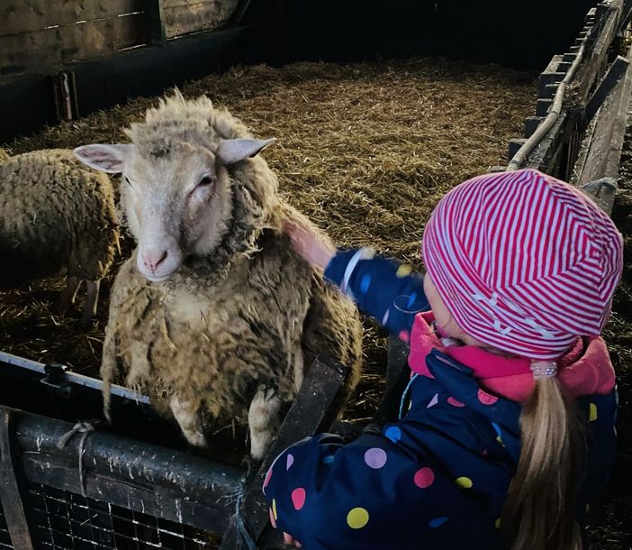 Ein Kind und ein Schaf