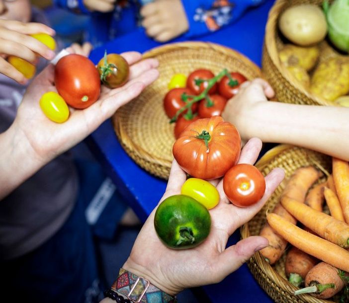 Eine Auswahl bunter Tomaten