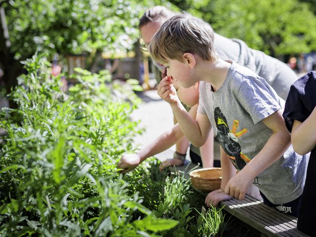 Kinder schnuppern an Kräutern